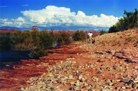 Photograph of clasts of river alluvium south of Antelope Island. 