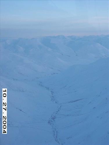 1 Gates of the Arctic National Park and Preserve Koyukuk Moose Survey 2004