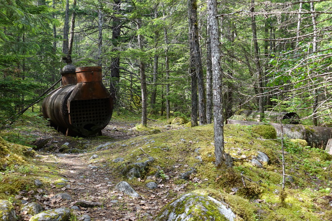 A boiler sits in a forest of evergreen trees on a rocky bed of moss-patched earth. 