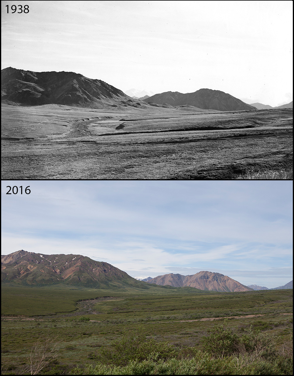 A photo pair showing No apparent changes at Sable Pass: 1938-2016