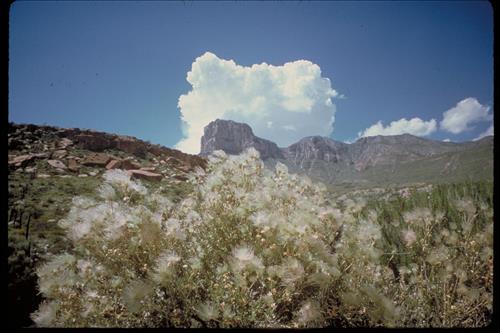 Views at Guadalupe Mountains National Park, Texas