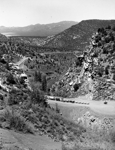 20-mule team and wagon lead by Jean DeHaven traveling on Taylor Creek Road. Group en route from Death Valley to Wessington, South Dakota. Trip taken in commemoration of the National Park Service's 50th Anniversary.