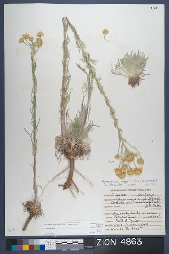 Herbarium Specimen Sheet 4863