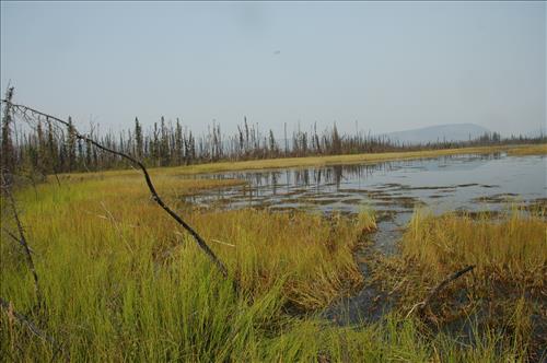 1 Water Quality Testing in Yukon-Charley Rivers National Preserve, August 2005