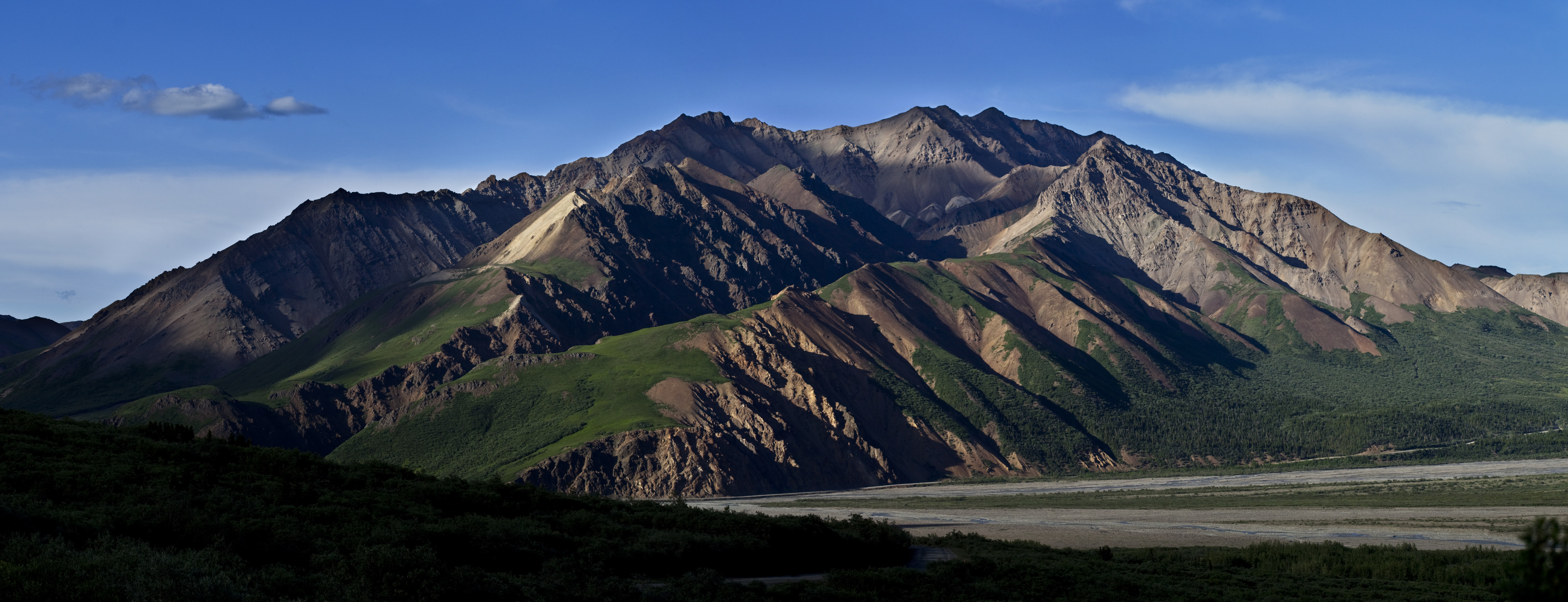 a large mountain covered in green vegetation and brown rock at Denali National Park