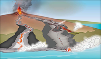 Illustration of a broad and low shield volcano erupting. Surface lava flows and steam vents are shown.