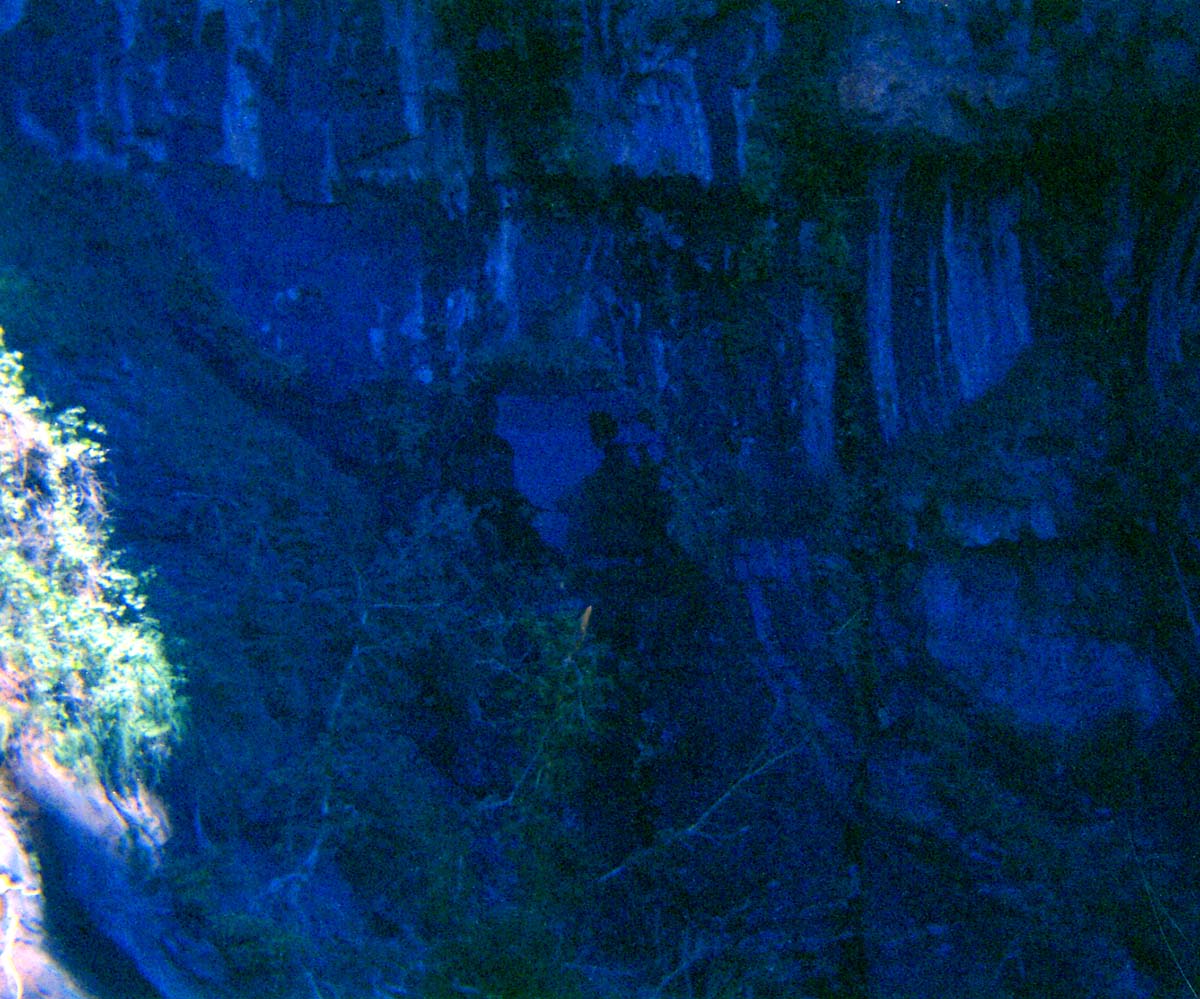 Scaffolding construction and use at the Temple of Sinawava during a spring project.