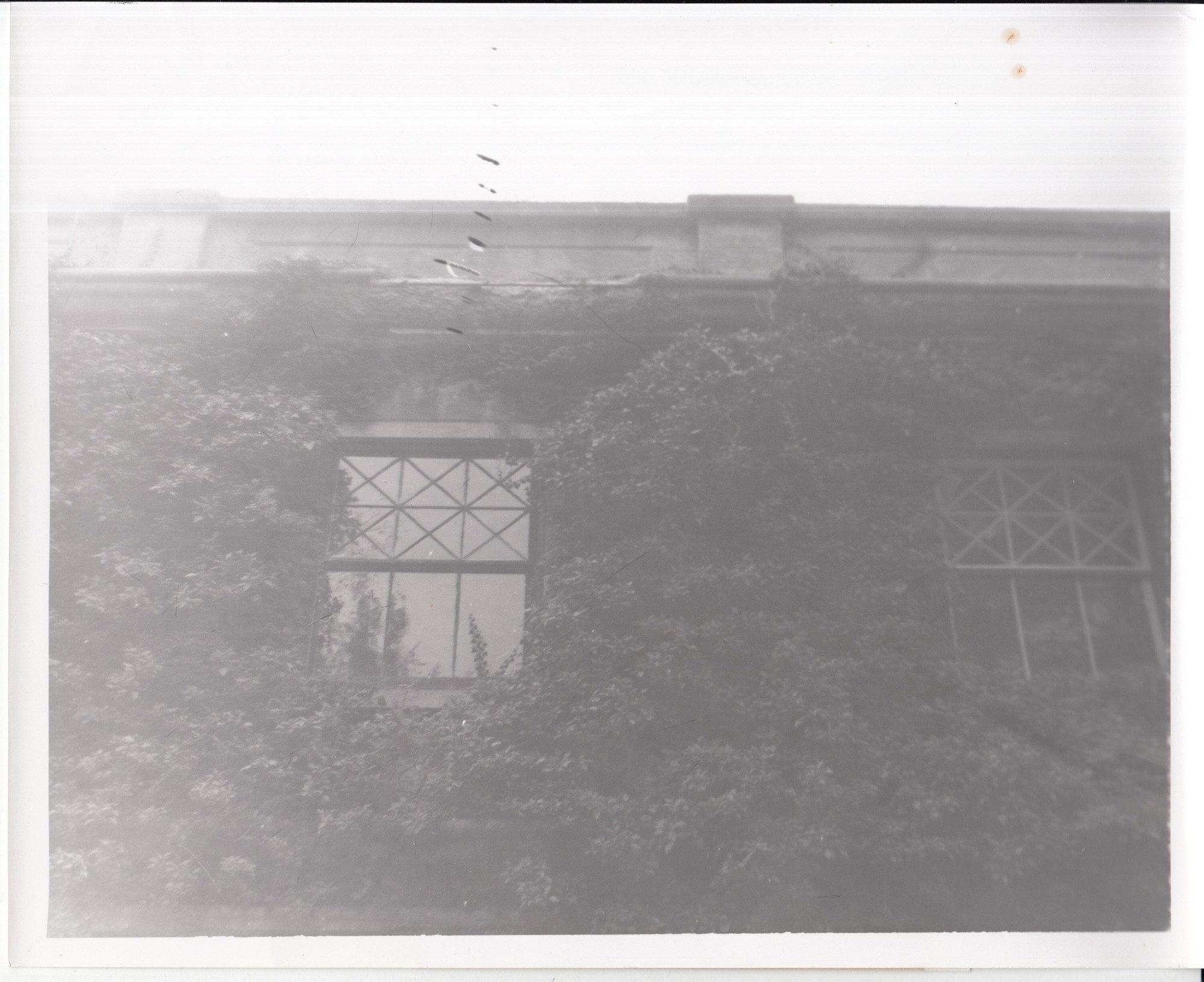 Glenmont, garage, detail of cornice, showing deterioration.