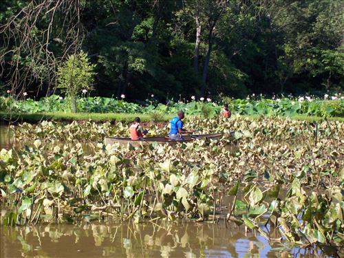 KEAQ YPP 2009 PMIS154684 Kenilworth Aquatic Gardens - SCA Conservation Crew