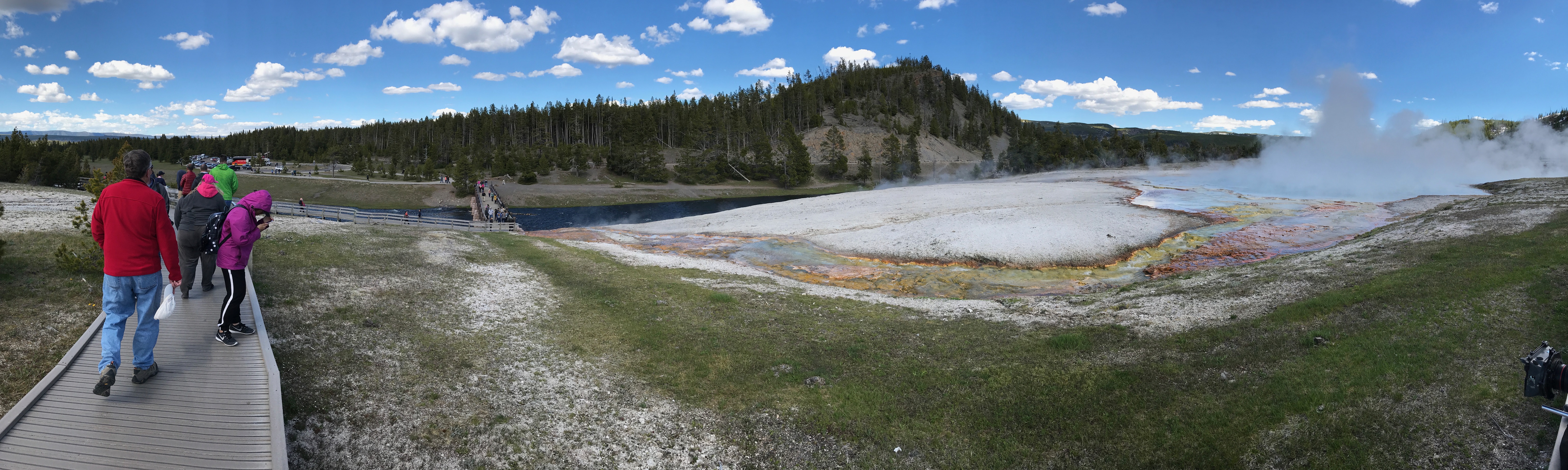 Strikingly yellows, oranges, reds, greens, and browns color a steaming runoff channel from the very steamy, blue waters of Excelsior Geyser with a conifer-covered hill rises on the other side of the blue waters of the Firehole River