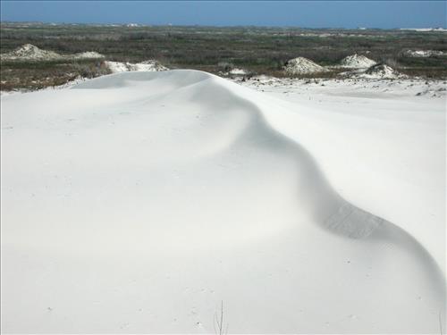 Scenery of Padre Island National Seashore