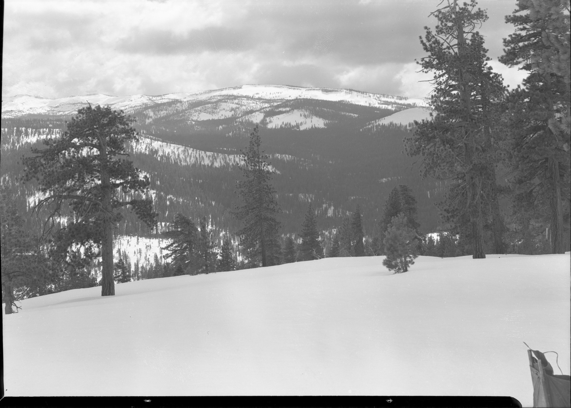Looking toward top of Sentinel Ridge and toward Buena Vista Crest from the southern tip of Sentinel Ridge.