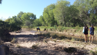 two visitors on plank bridge and two horse-ridres downstream