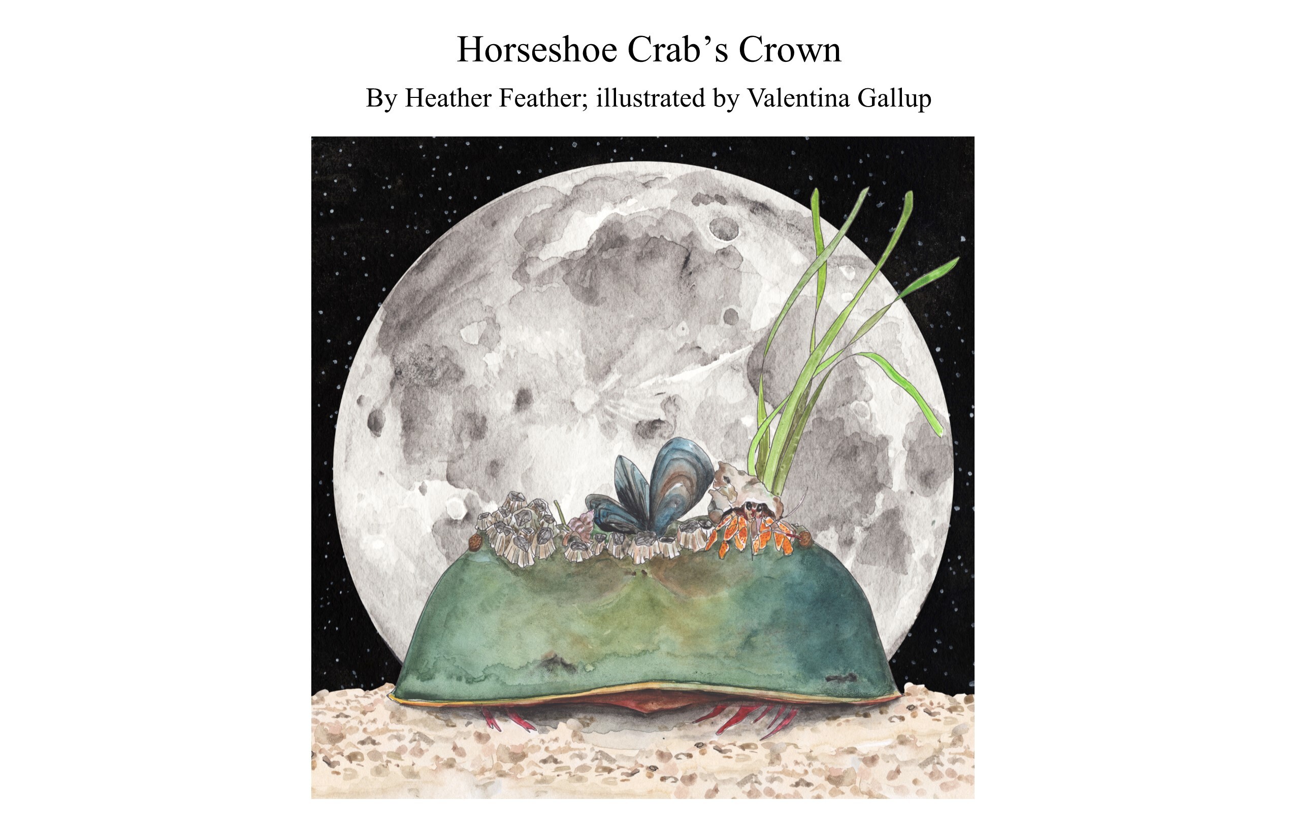 Watercolor illustration of a horseshoe crab with a crown of epibionts