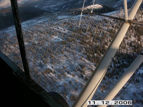 1 Yukon-Charley Rivers National Preserve Moose Survey November 2006
