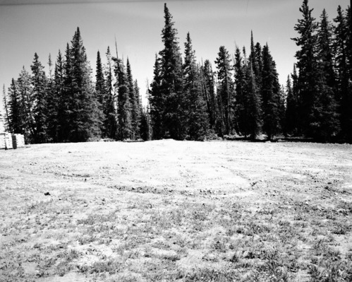 Sewage system disposal field (leach field) completed at Cedar Breaks.
