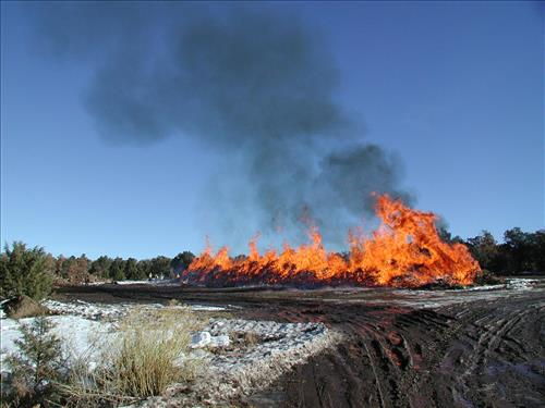 Brush pile burn as part of fuel reduction, Mesa Verde National Park, Jan. 2002
