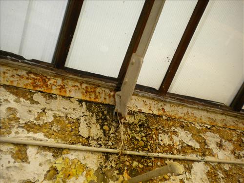 Pre-construction conditions of Aquatic Gardens Historic Greenhouses 1, 2, and 3 in October 2010