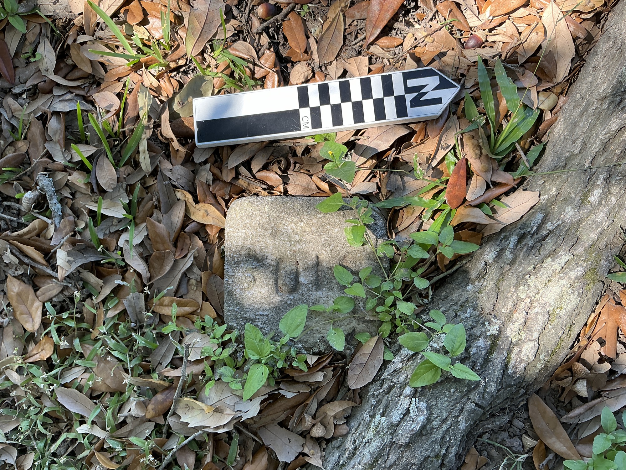 Extra image of flat marble marker