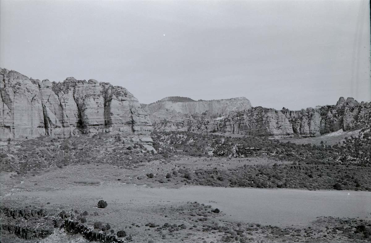 BW photo of the 1937 grazing study 35MM.