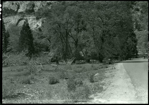Before landscaping along cemetery.