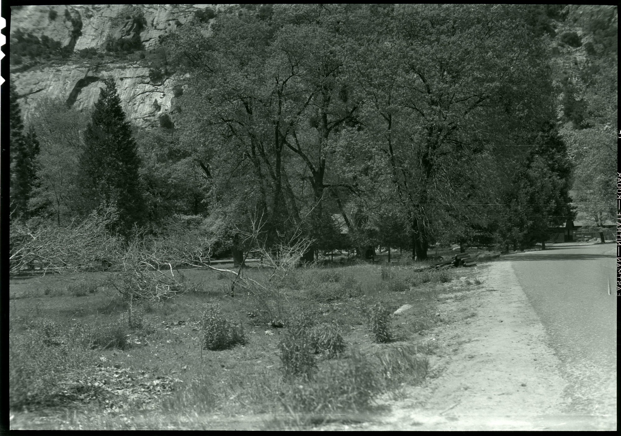 Before landscaping along cemetery.