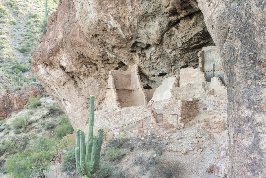Saguaro with flowers in front of the Lower Cliff Dwelling 