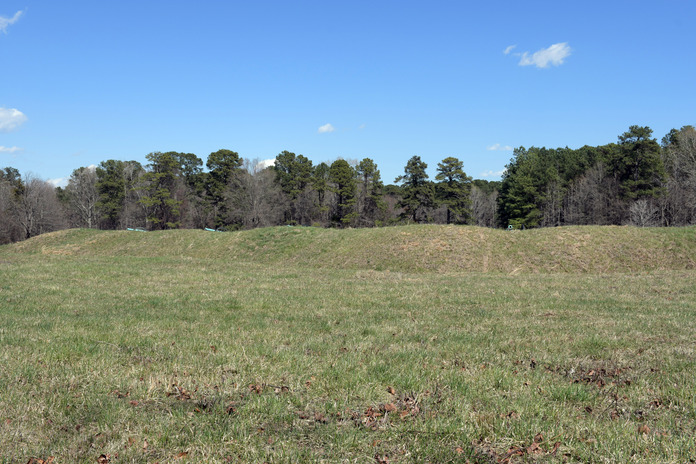 Three cannons are just visible over the top edge of a grass covered earthworks. The horizon is a line of tall trees.