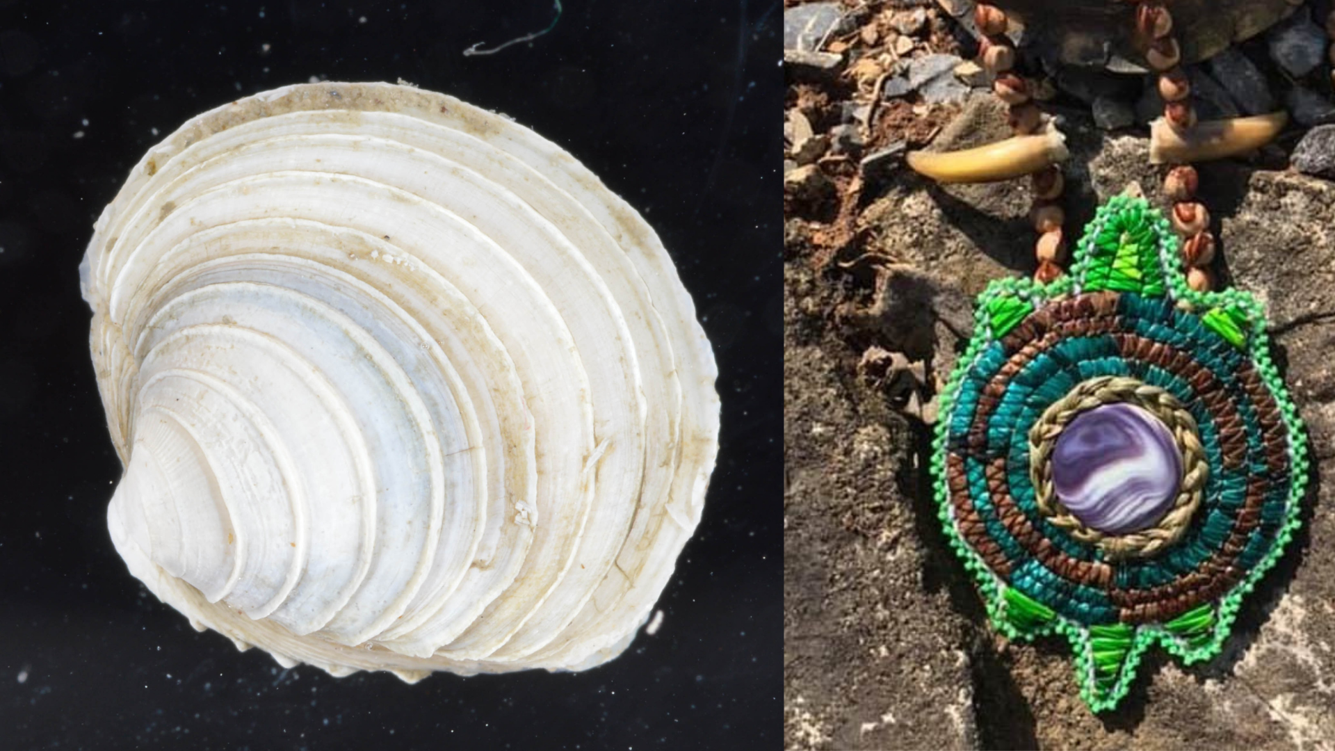 A handmade turtle pendant resting on a turtle shell. It is green, blue, and brown, and has a circular purple and white shell in the center. 