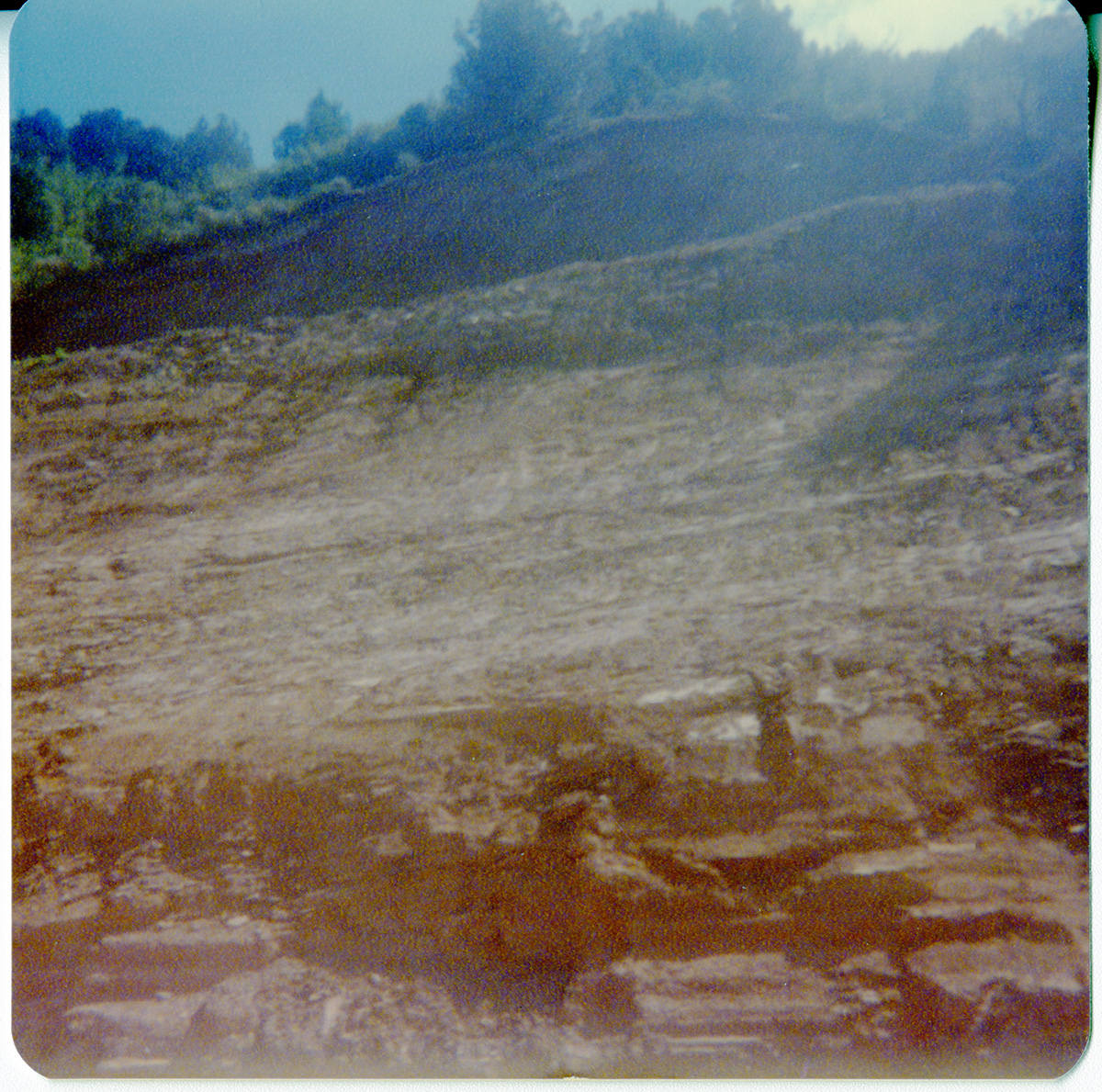 The side of the hill along the Kolob Terrace Road - North Unit.