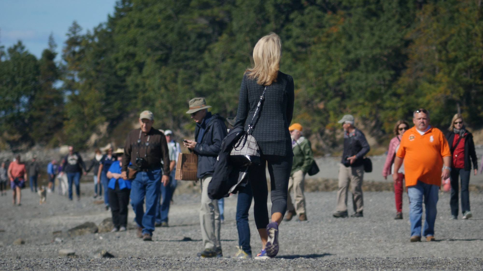 a woman in black walks away from the camera toward a treeline and visitors walk to and from the island in a crowd