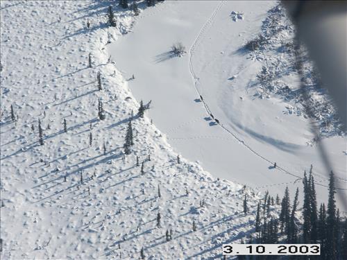 1 Yukon-Charley Rivers National Preserve Wolf Capture 2003