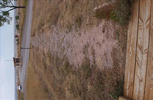 BADL Replace Deteriorated Concrete Walkways with New ADA Compliant Walkways