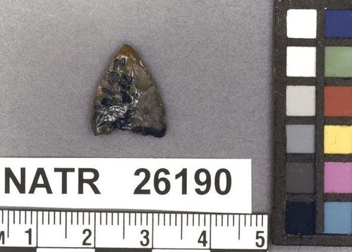 NATR   26190 -- Late Woodland / Miss Triangular Cluster projectile point