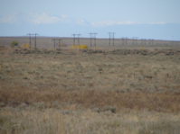 Powerline cuts across an open shortgrass prairie, snowcapped mountains loom in the far distance.