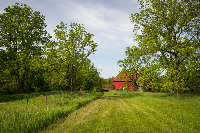 A photograph of a grassy path leading to a red barn partially hidden by large, leafy trees. The scene is set on a sunny day with a mostly clear blue sky, and the surrounding area is lush and green.