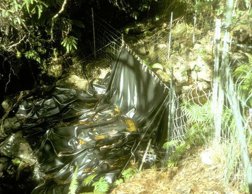 Supporting Images for PMIS#16750 - Mitigate feral animal ingress to protect recovering Haleakala Rainforest