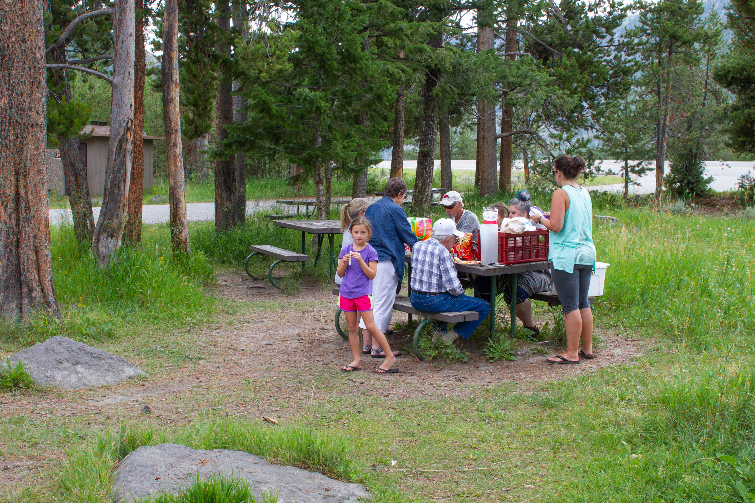 A family of eight people sitting and standing at a picnic table with food with trees and the entrance road in the background