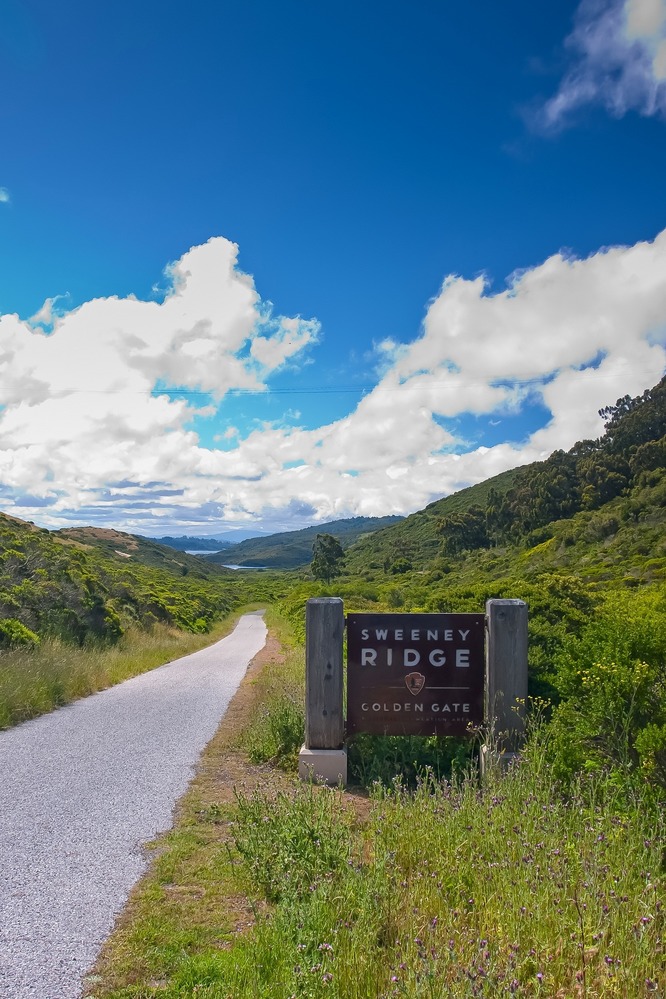 Trail at Sweeney Ridge