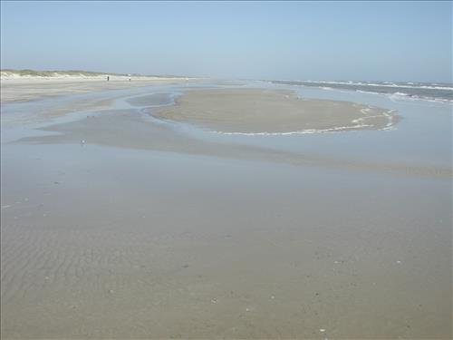 Scenery of Padre Island National Seashore