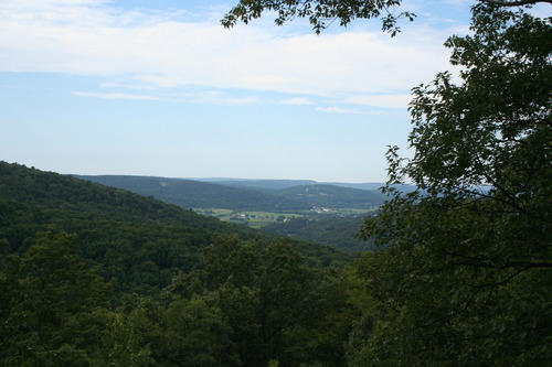 Image of overlook and green forest