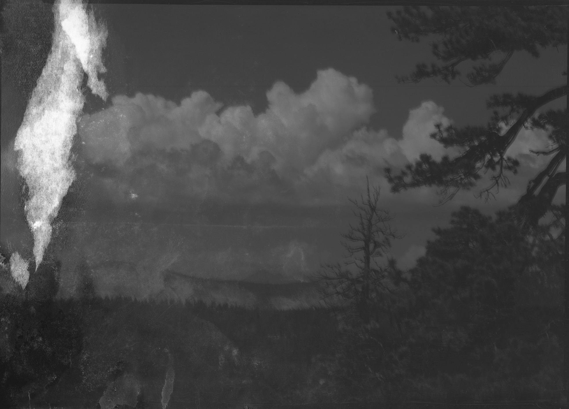 Yosemite National Park