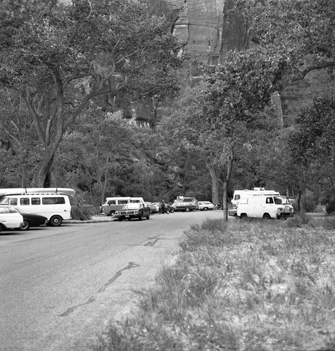 Visitor use - Temple of Sinawava parking area.
