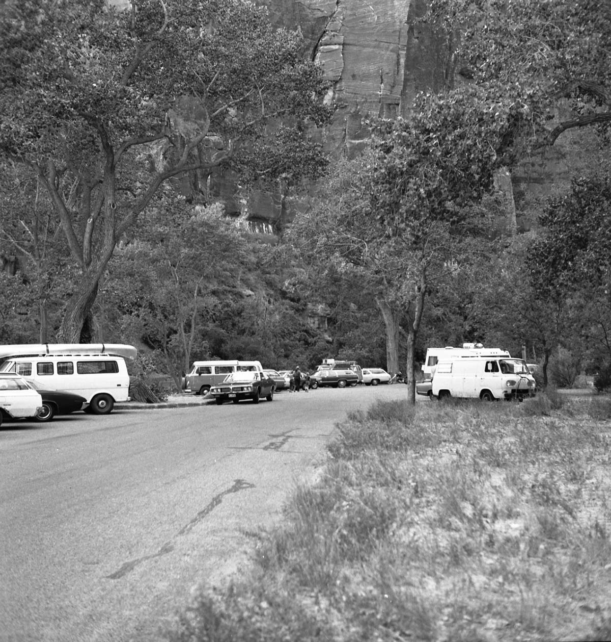 Visitor use - Temple of Sinawava parking area.