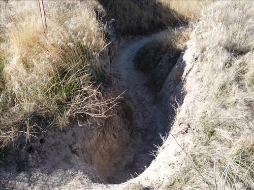 BADL-Trails-Castle-Medicine_Root_Trail