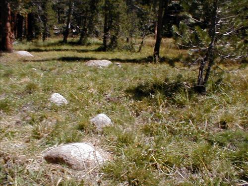 Meadow impacts from stock use at Lower Rock Creek Crossing, Sequoia and Kings Canyon National Park