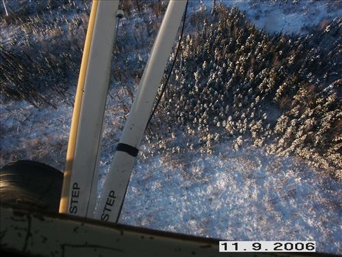 2 Yukon-Charley Rivers National Preserve Moose Survey November 2006