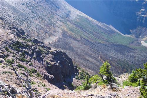 Fire damage assessment of Double Mountain Fire, August, 2003, Glacier National Park