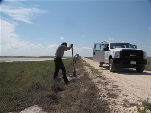 tidal flat disturbance PAIS