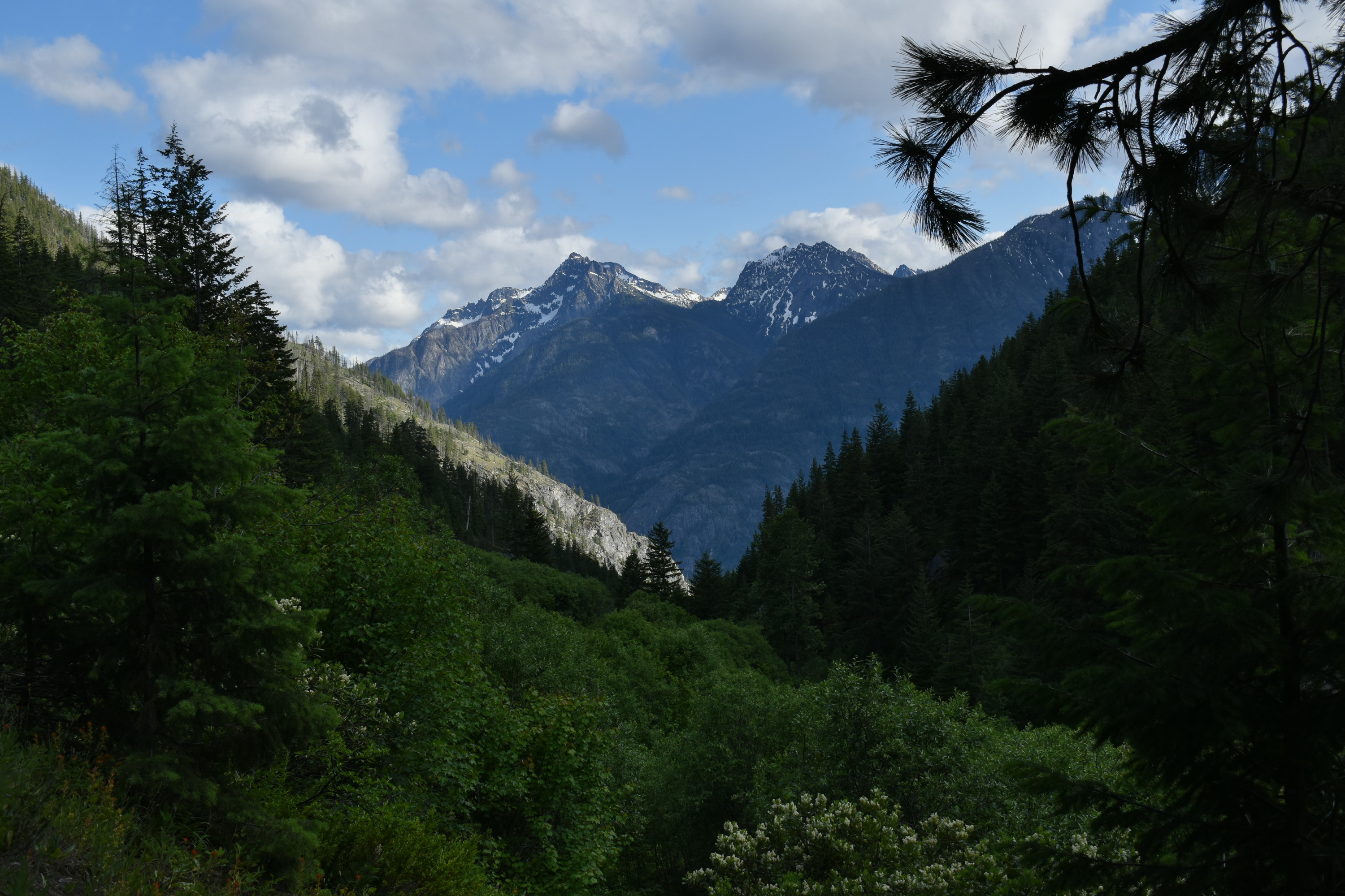 Two rugged rocky peaks are seen through the V of a forested valley.